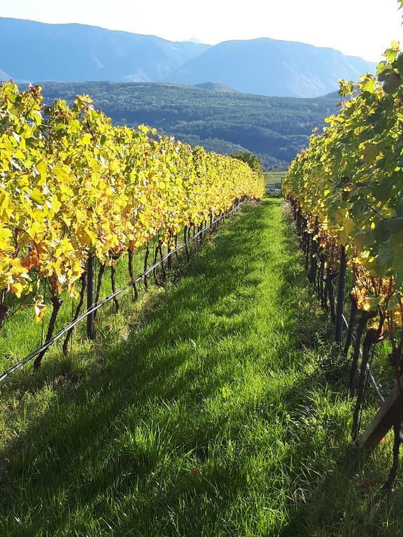 Wiesmüllerhof Caldaro sulla Strada del Vino Exterior foto