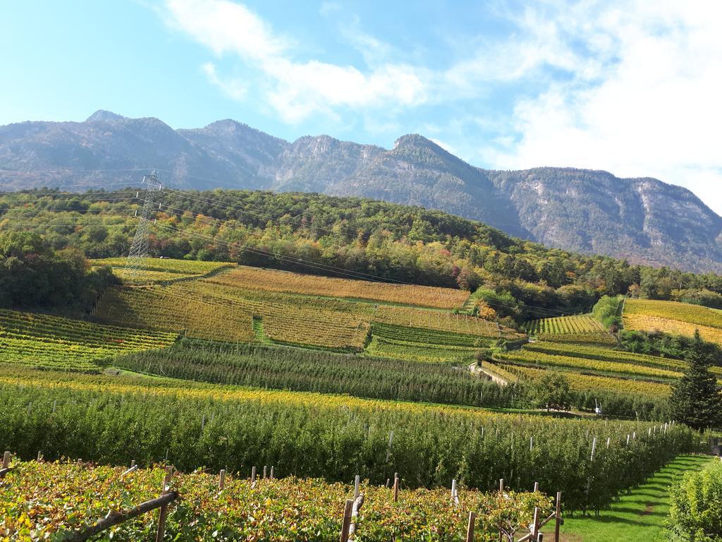 Wiesmüllerhof Caldaro sulla Strada del Vino Exterior foto